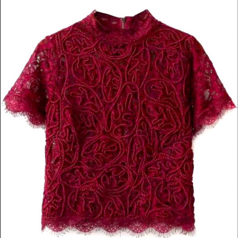 Zara Trafaluc Red Lace Sheer Top Zip Back EUC Medium
